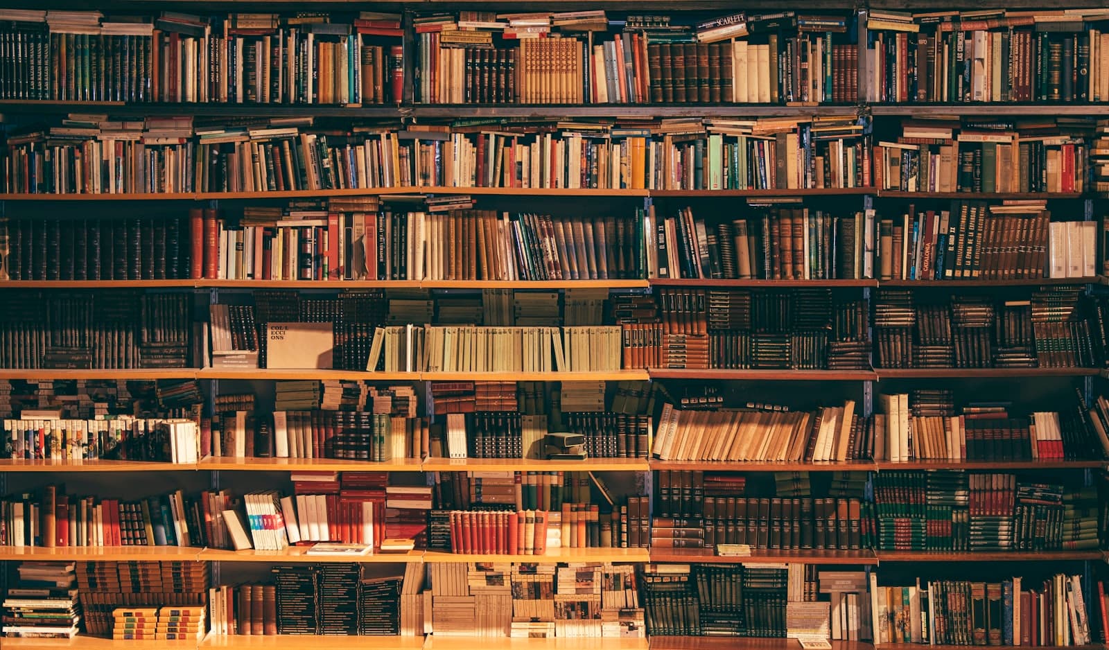 Rows of books on library shelves